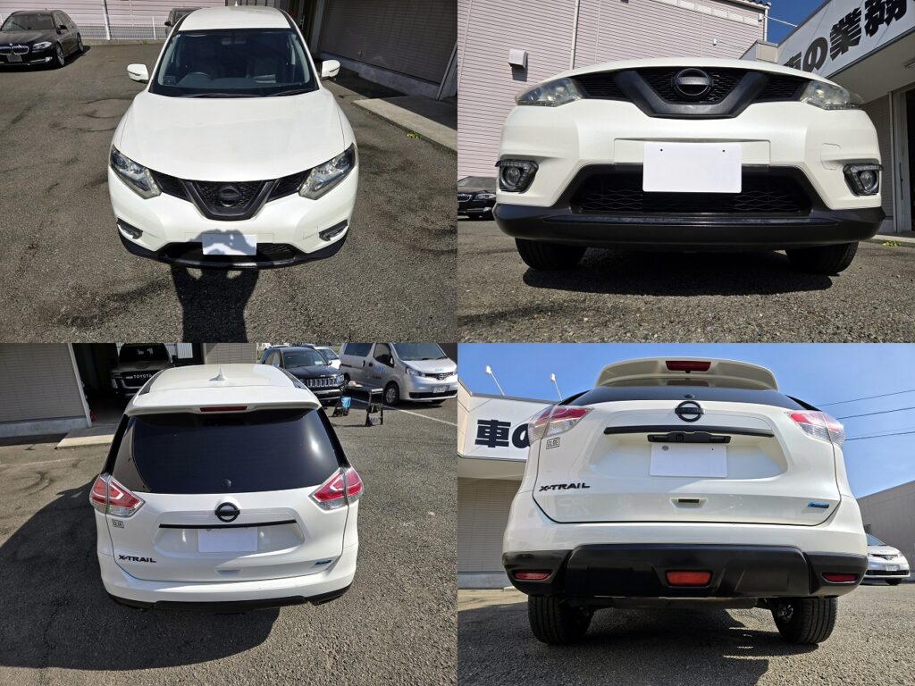 Margent3220260419071